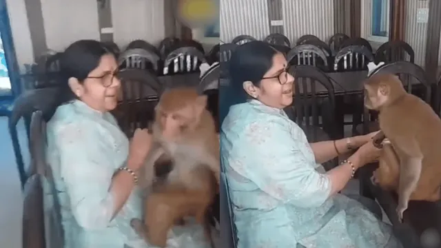 viral-video-of-monkey-dancing-and-vibing-with-crowd-singing-ram-bhajans-melts-internet-watch